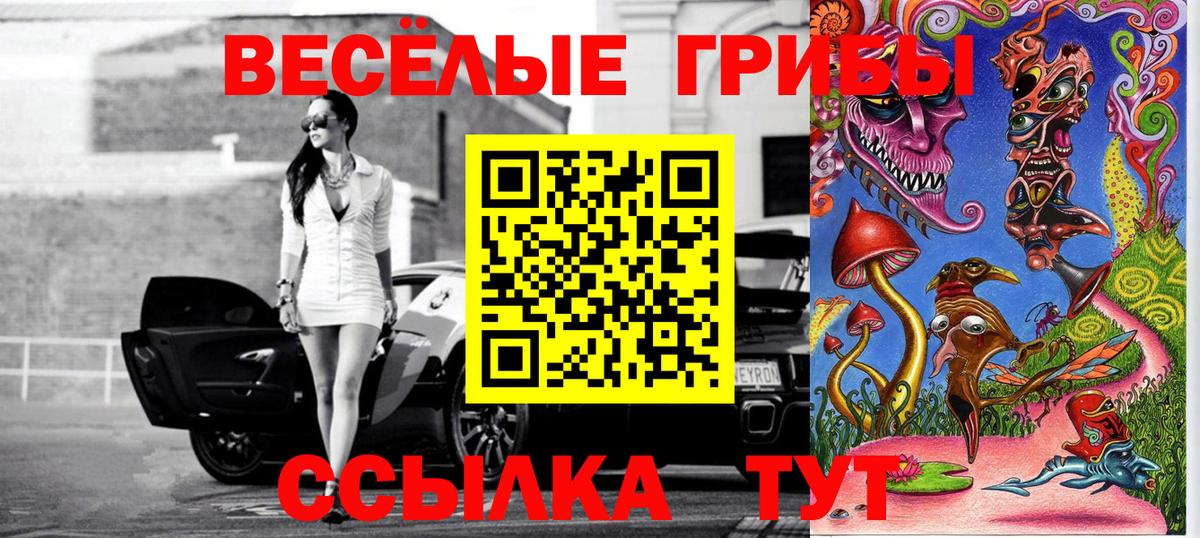 Псилоцибиновые грибы MAGIC MUSHROOMS Раменское