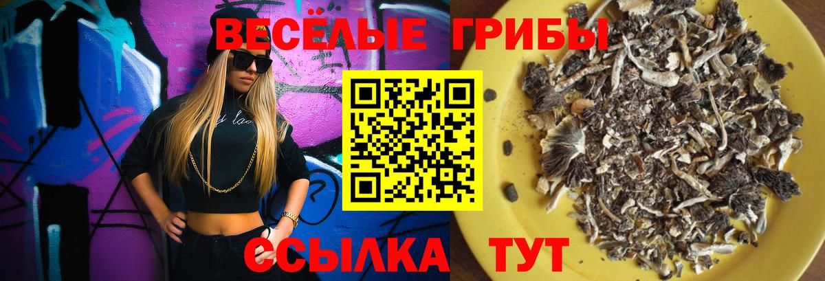 Псилоцибиновые грибы Magic Shrooms  Псилоцибиновые грибы Psilocybine cubensis  Раменское  Вход с VPN 